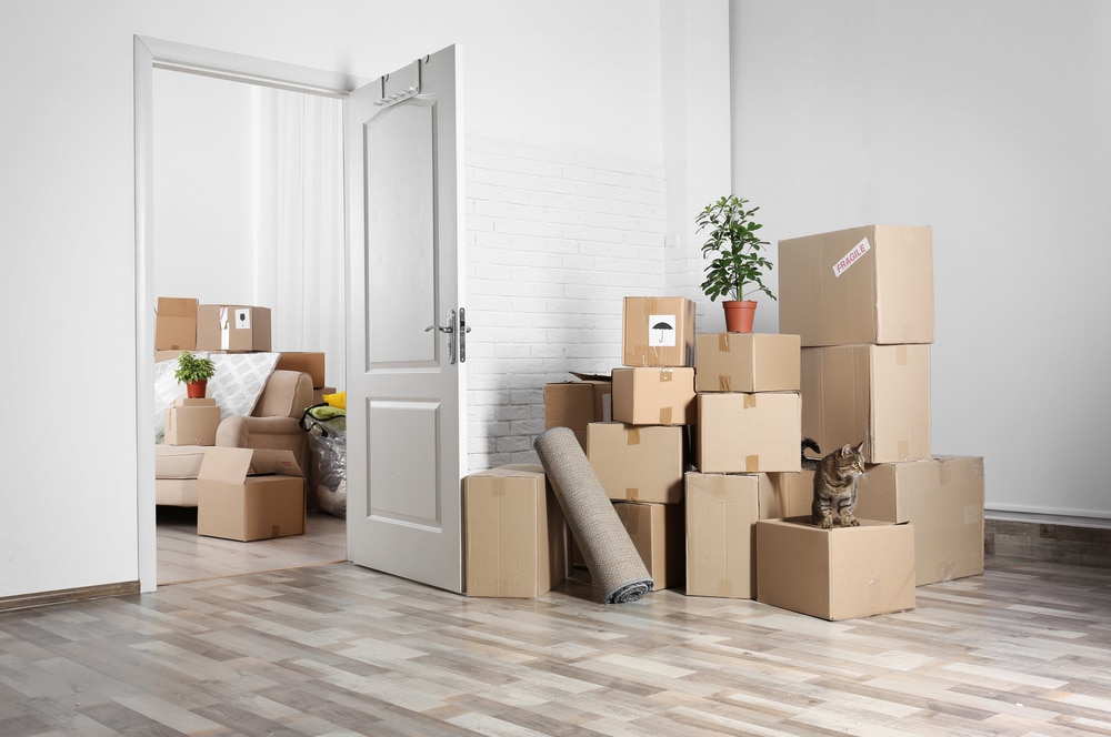Plastic Containers or Cardboard Boxes? What to Choose When Moving