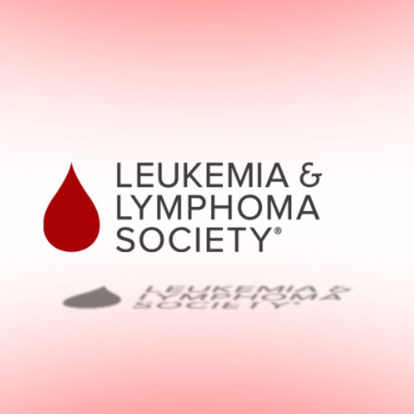 Proud Partner